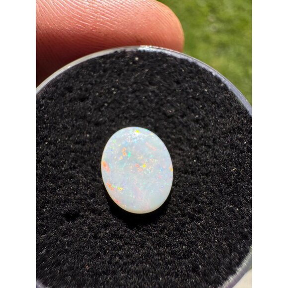 Australian Opal Cabochon - 1.02 carat in Display Box #199 - Picture 8 of 8